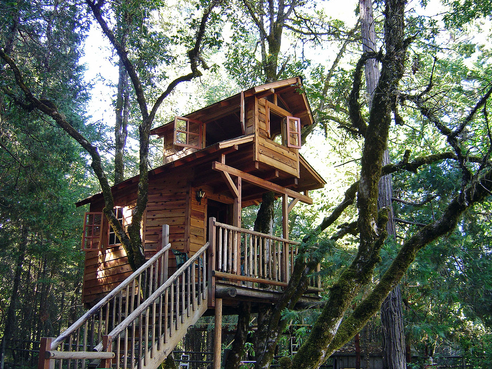 An elevated cabin